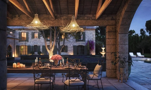 For Sale Villa 7 Bdrms France - In The Center Of Alpillesexclusive Villa