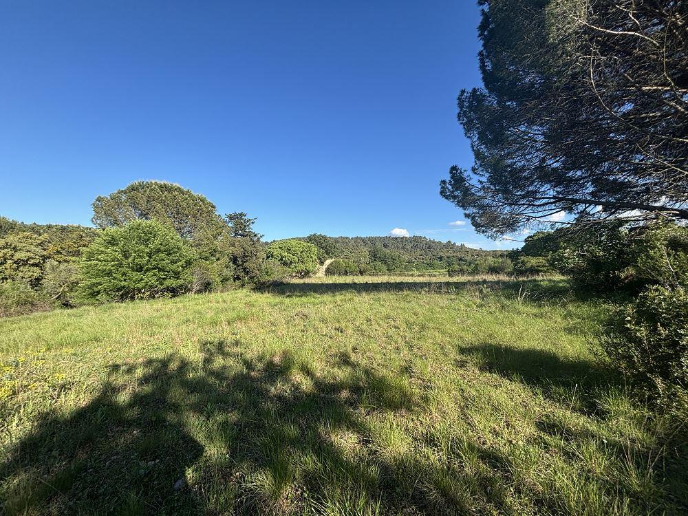 Agricultural Land of 16000m2 with a Mas to Renovate