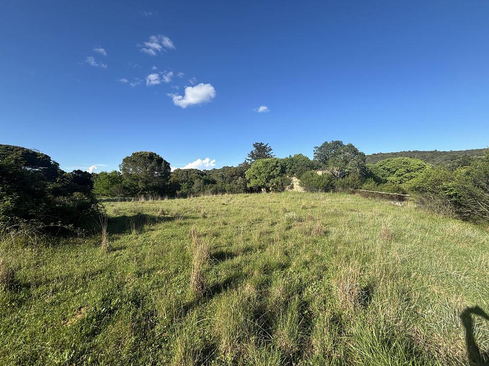 Agricultural Land of 16000m2 with a Mas to Renovate