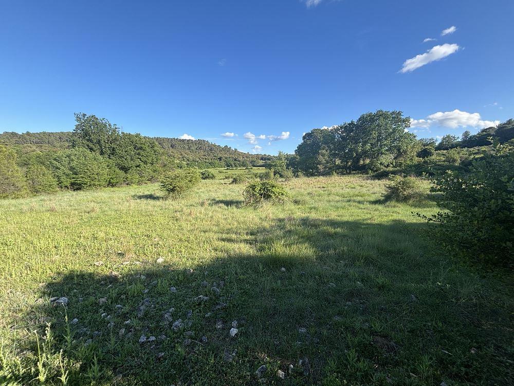 Agricultural Land of 16000m2 with a Mas to Renovate