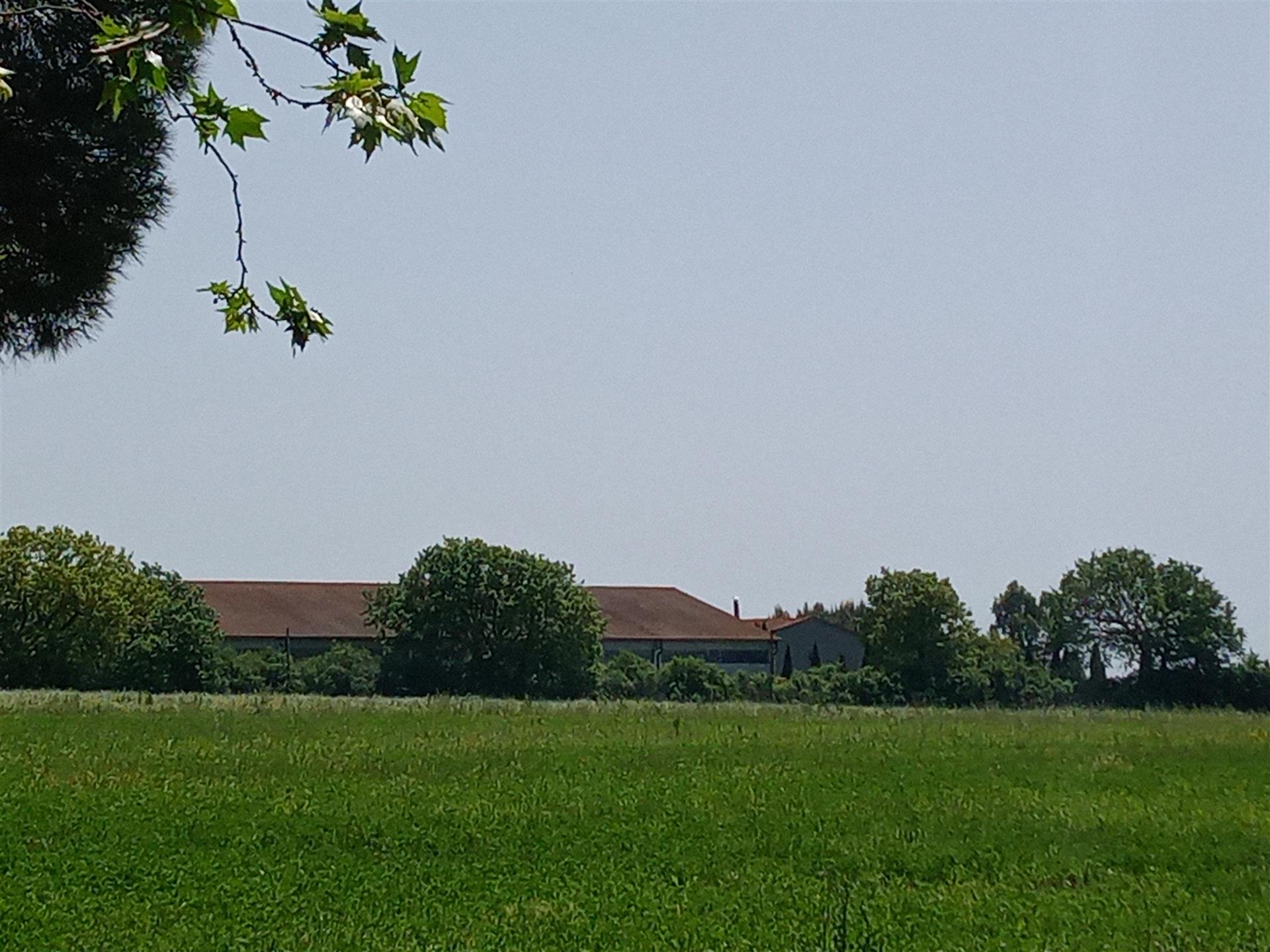 Azienda agricola Stazione Bolgheri 
