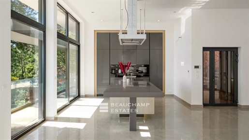 New contemporary villa