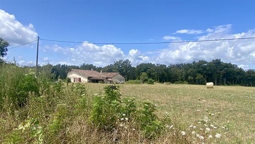 Proche Bazas - 4 chambres - maison - dépendance -puits - hectare.