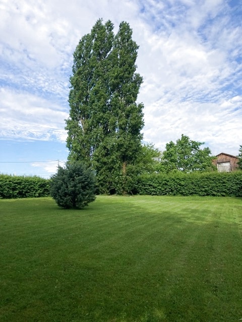 Huis in de buurt van Langon 7 slaapkamers, land 3400 m2 ingesloten.