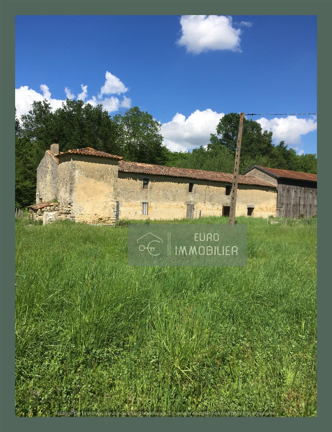Corps De Ferme A Renover plus de 6Ha - Entre Bazas et Langon - Gironde - Aquitaine