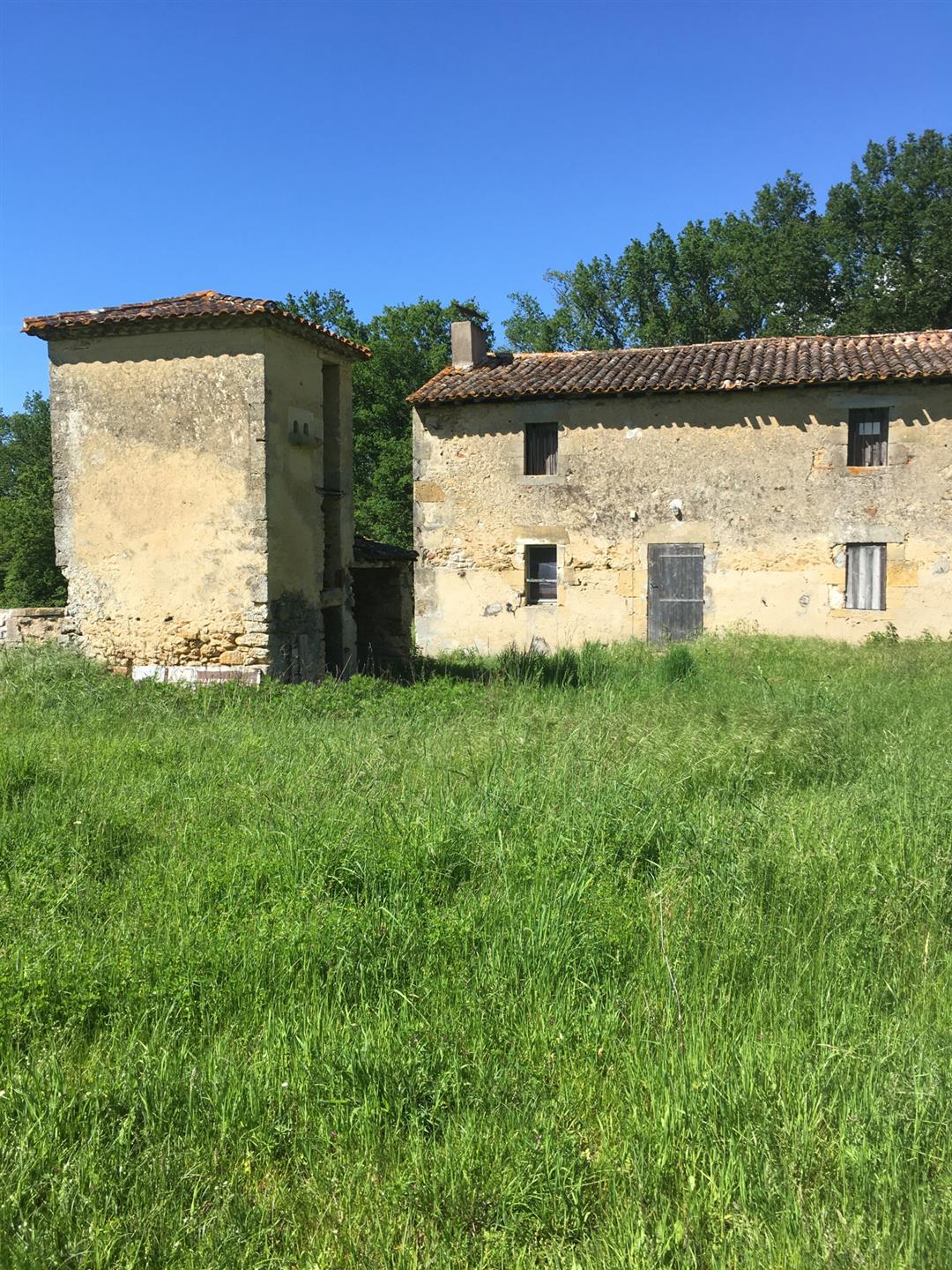 Corps De Ferme A Renover plus de 6Ha - Entre Bazas et Langon - Gironde - Aquitaine