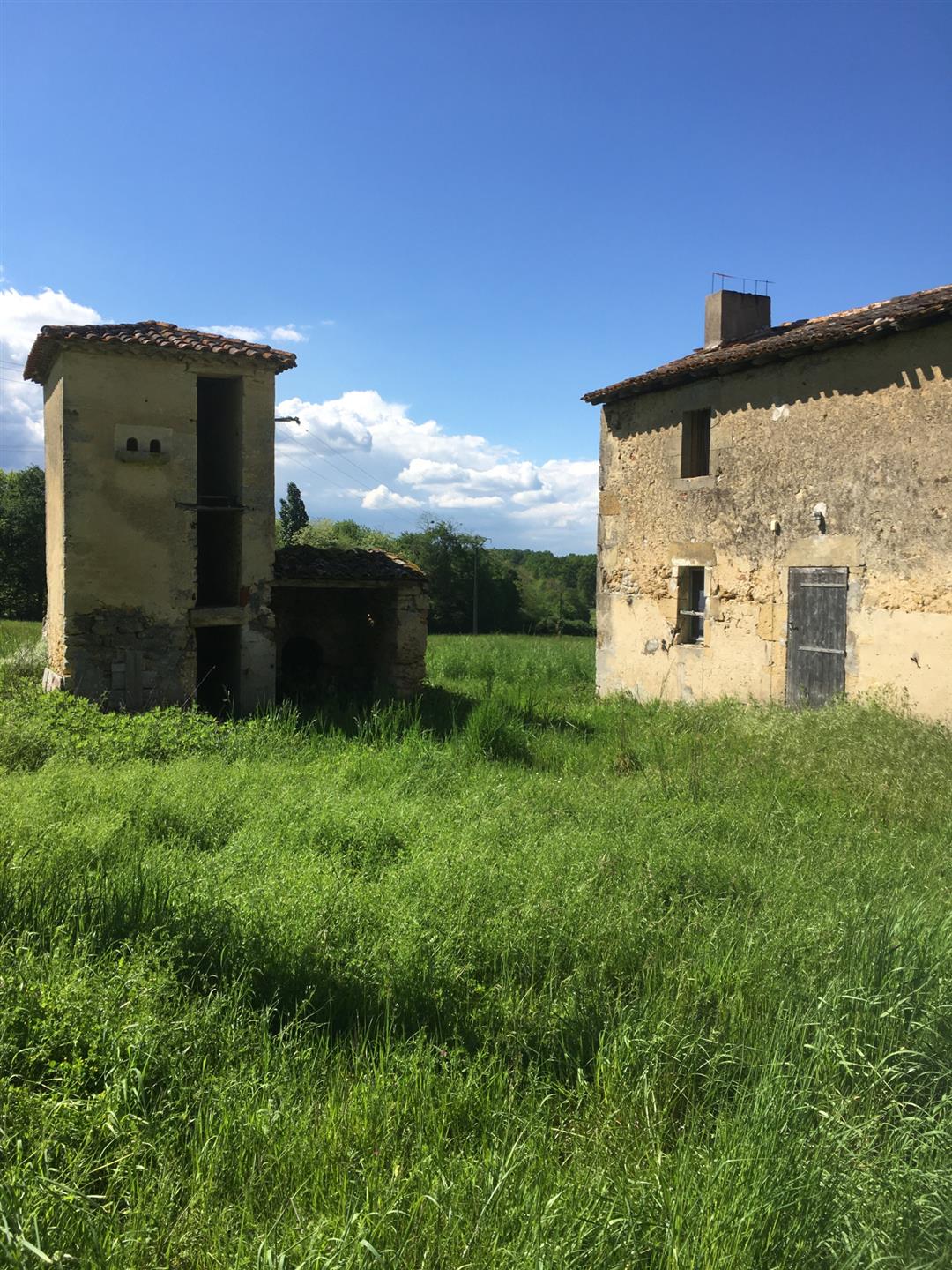 Corps De Ferme A Renover plus de 6Ha - Entre Bazas et Langon - Gironde - Aquitaine