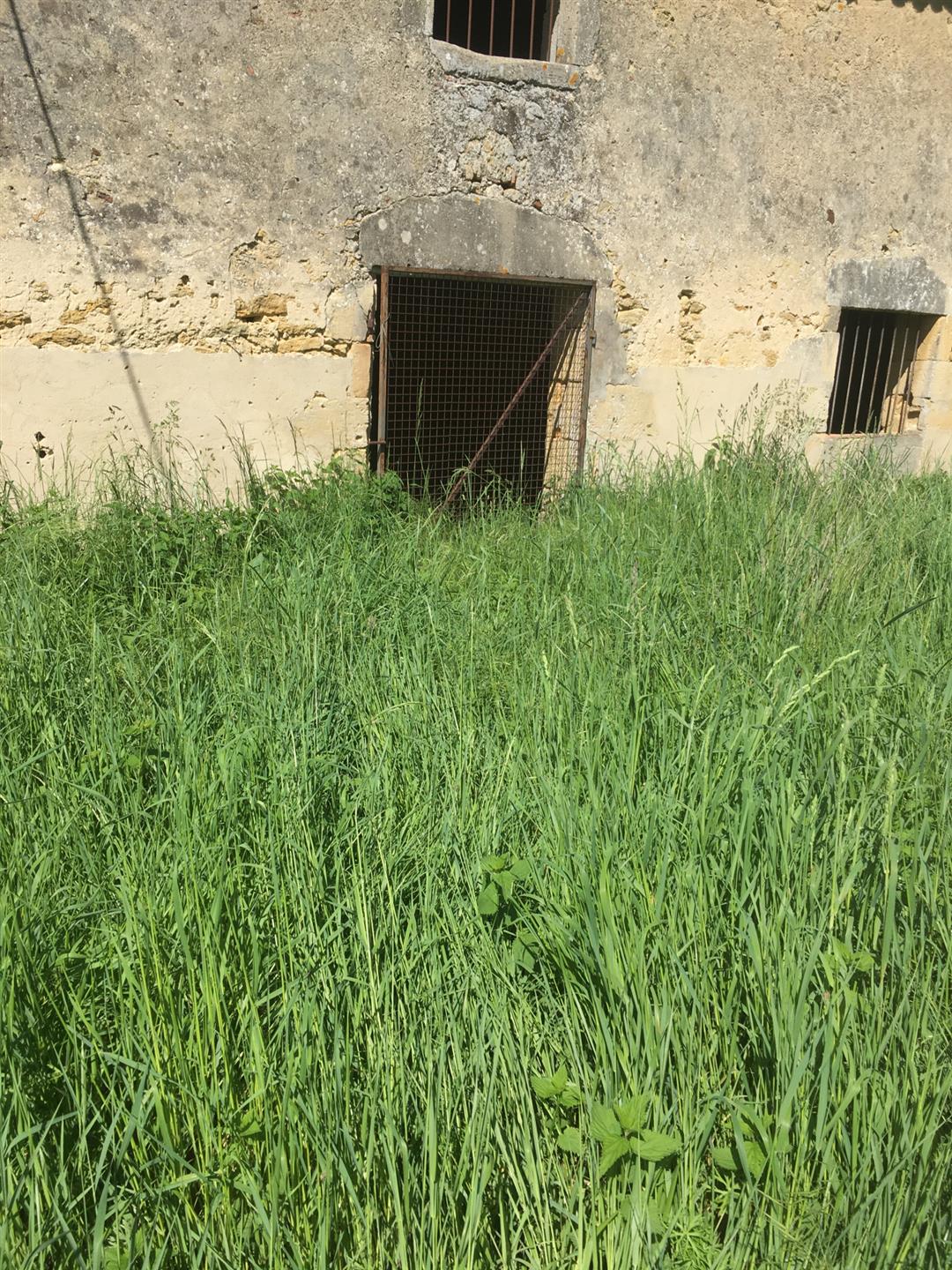 Corps De Ferme A Renover plus de 6Ha - Entre Bazas et Langon - Gironde - Aquitaine
