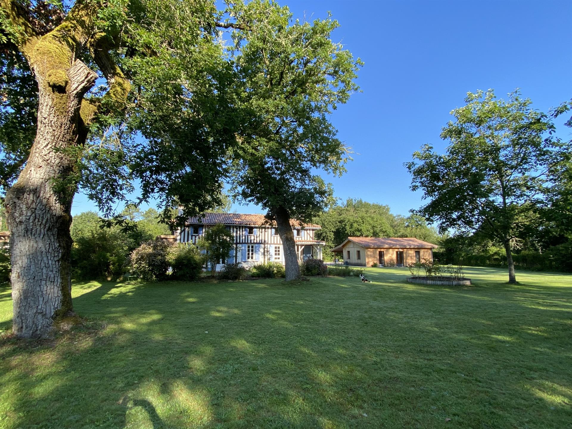 Luxey - 2 Dwellings - Swimming Pool - 8 Bedrooms - Landes (40) - Aquitaine