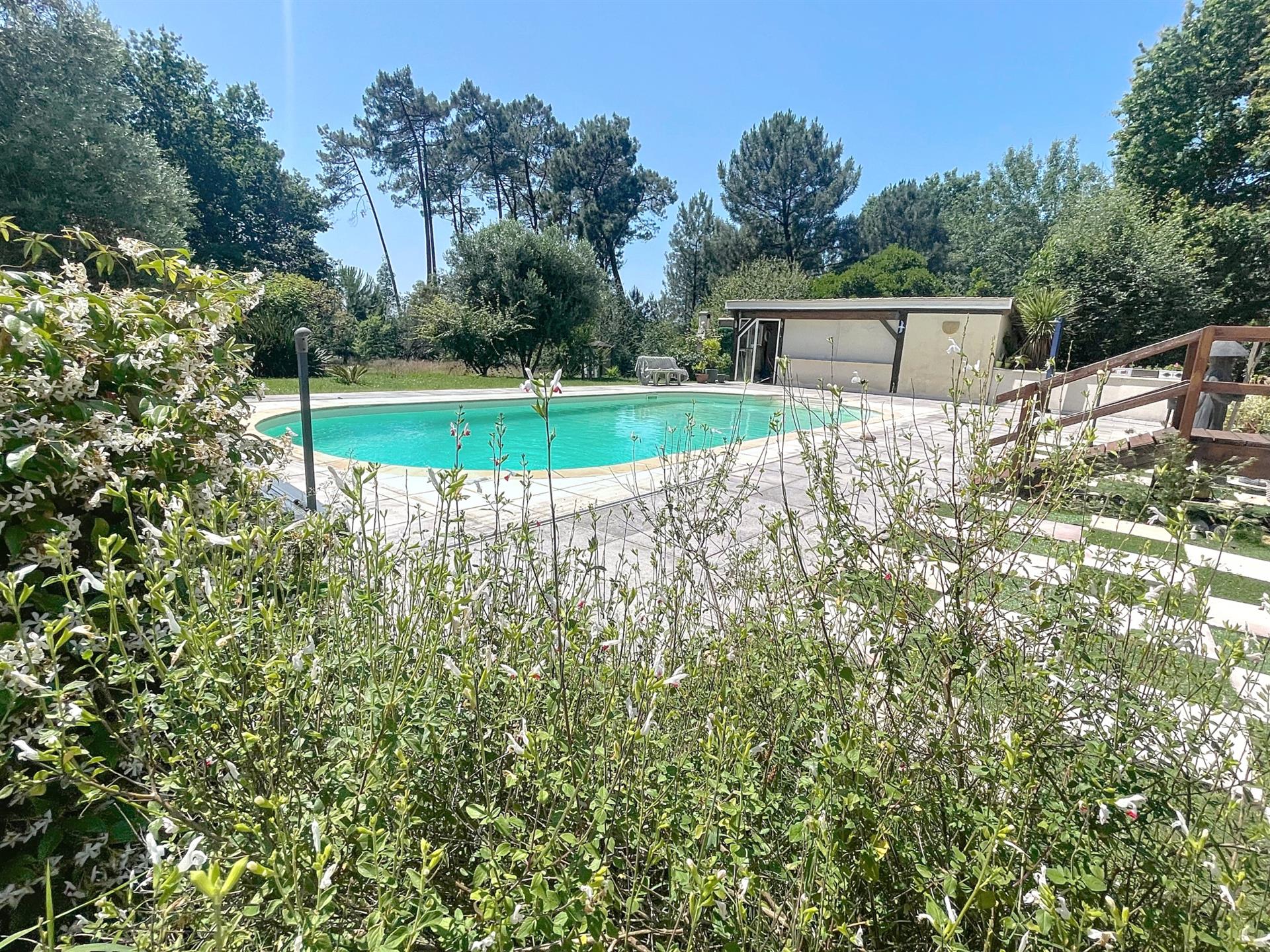 Proche Langon - propriété 6 chambres -dépendances -piscine -8800 de terrain clos -Gironde -Aquitaine