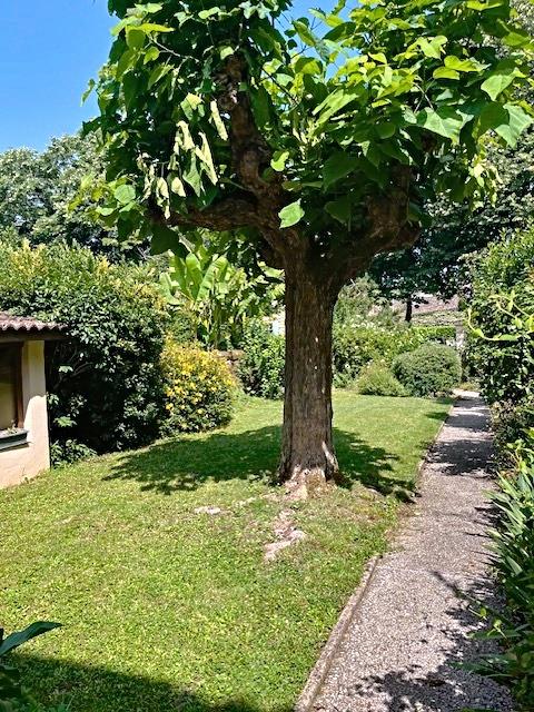 Compra: Vivenda (33210)