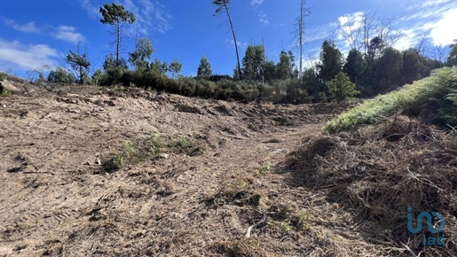 Tierra en el Porto, Amarante