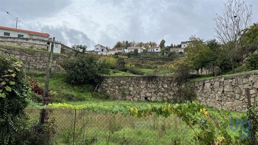 Tierra en el Porto, Amarante