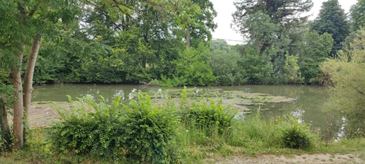 A 10 mn de Fontainebleau, dans un village de caractère situé en bord de Seine.