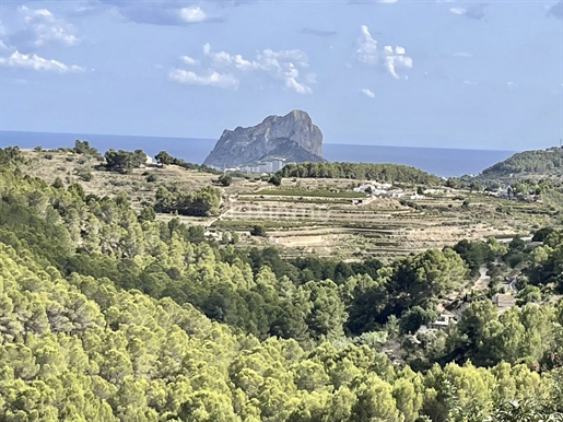 Αγορά : Οικόπεδο (03720)