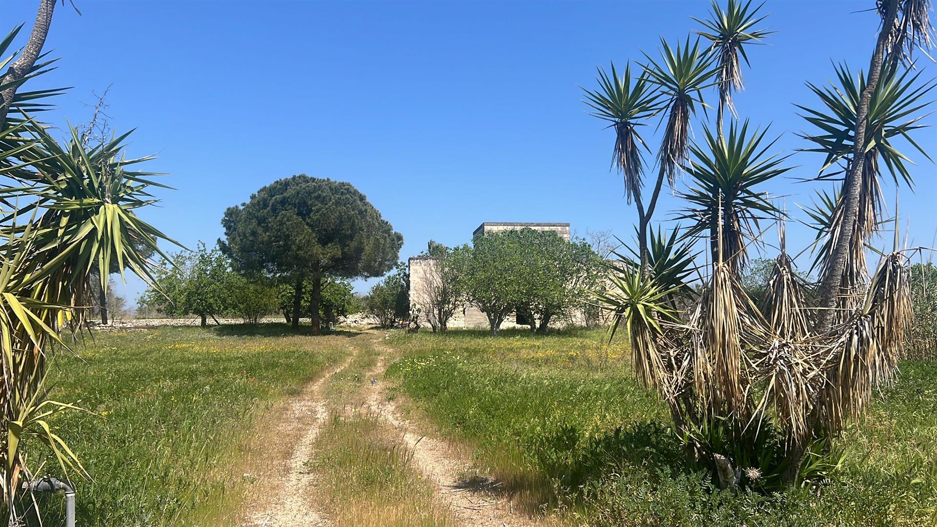Masseria Lizzanello