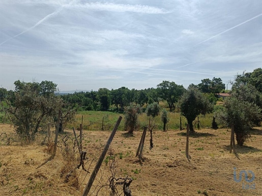 Construction land in Graça with 1188,00 m²