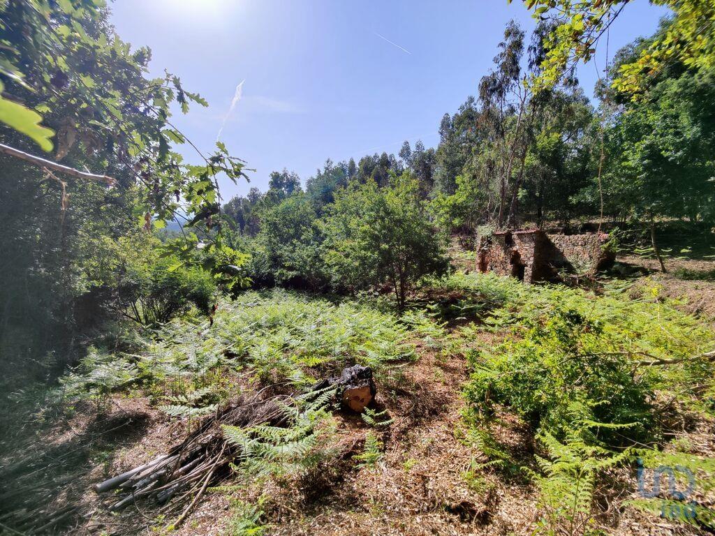 Ground in Graça with 28228,00 m²