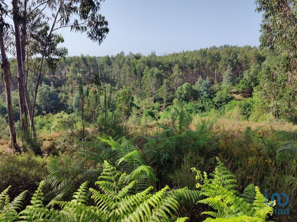 Ground in Graça with 28228,00 m²