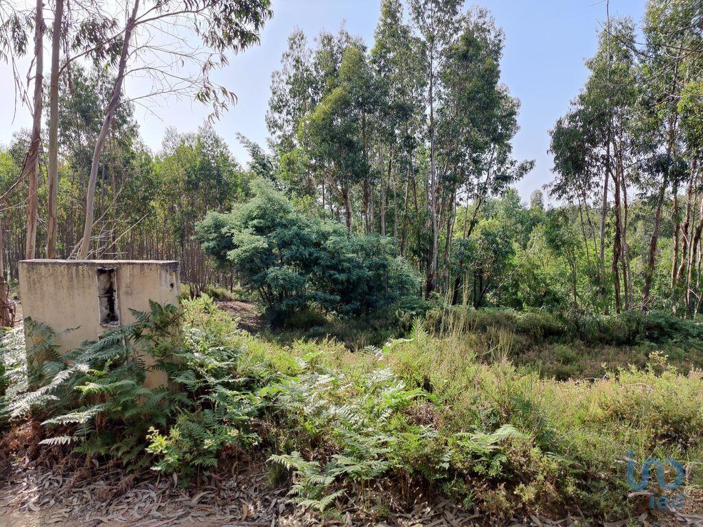 Ground in Graça with 28228,00 m²