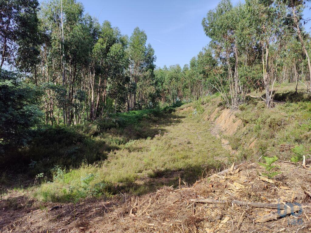 Ground in Graça with 28228,00 m²