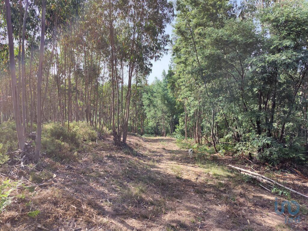 Ground in Graça with 28228,00 m²