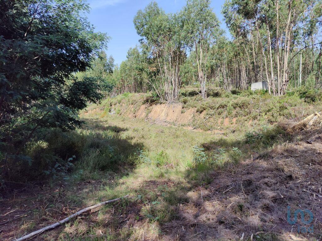 Ground in Graça with 28228,00 m²