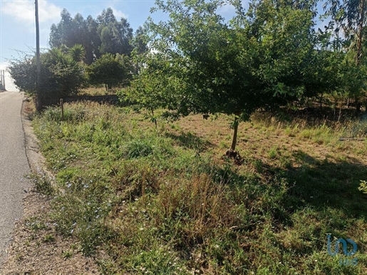 Tierra en el Leiria, Pedrógão Grande