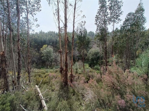 Terreno em Graça de 18689,00 m²