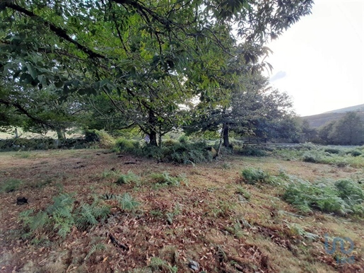 Boden in Melgaço, Viana do Castelo