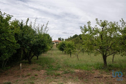 Casa de campo en el Vila Real, Sabrosa