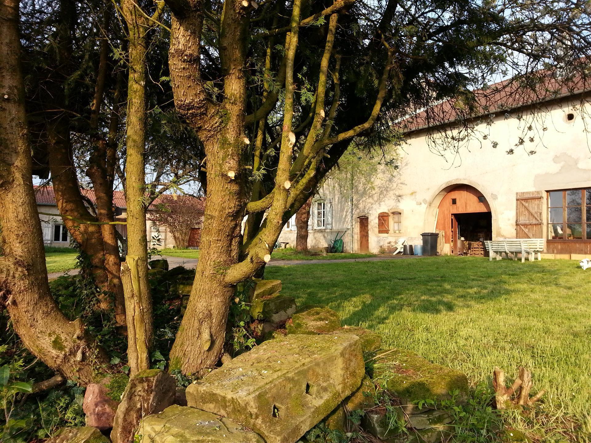 Grande Casa dei Vosgi + Gîte + Teatro in vendita