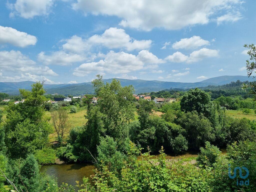 Tierra en el Coimbra, Arganil
