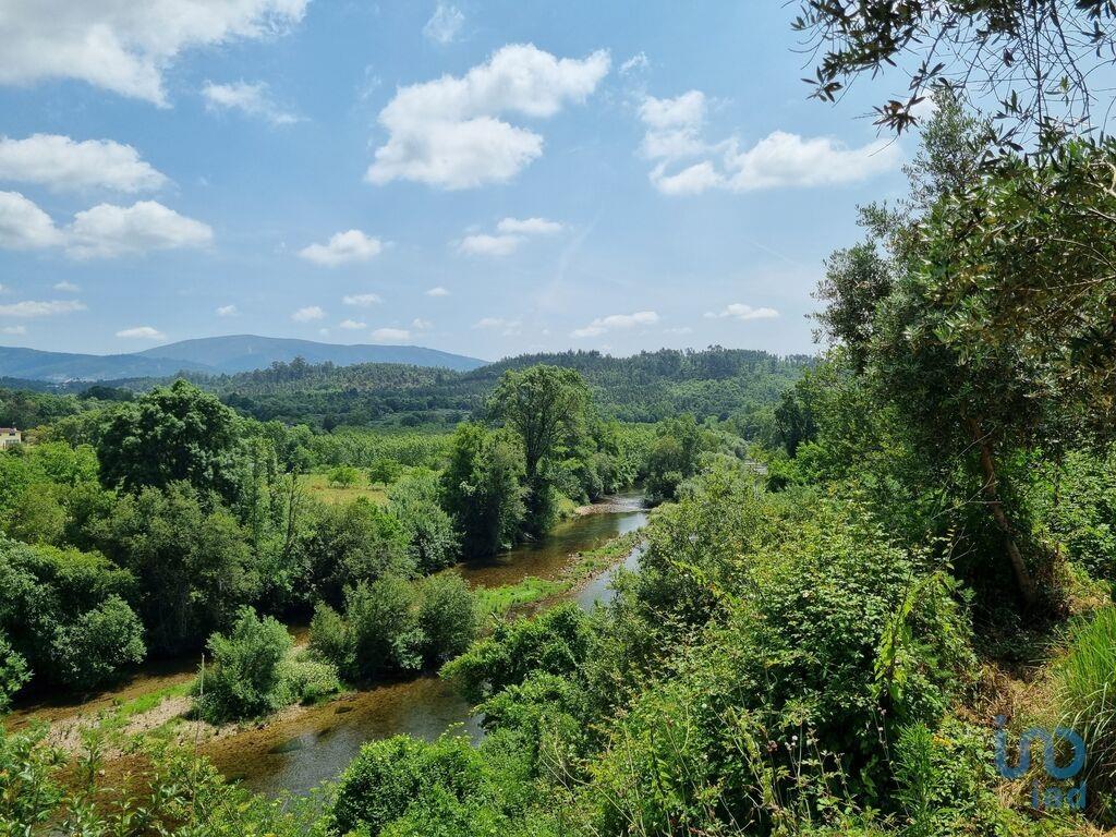 Tierra en el Coimbra, Arganil