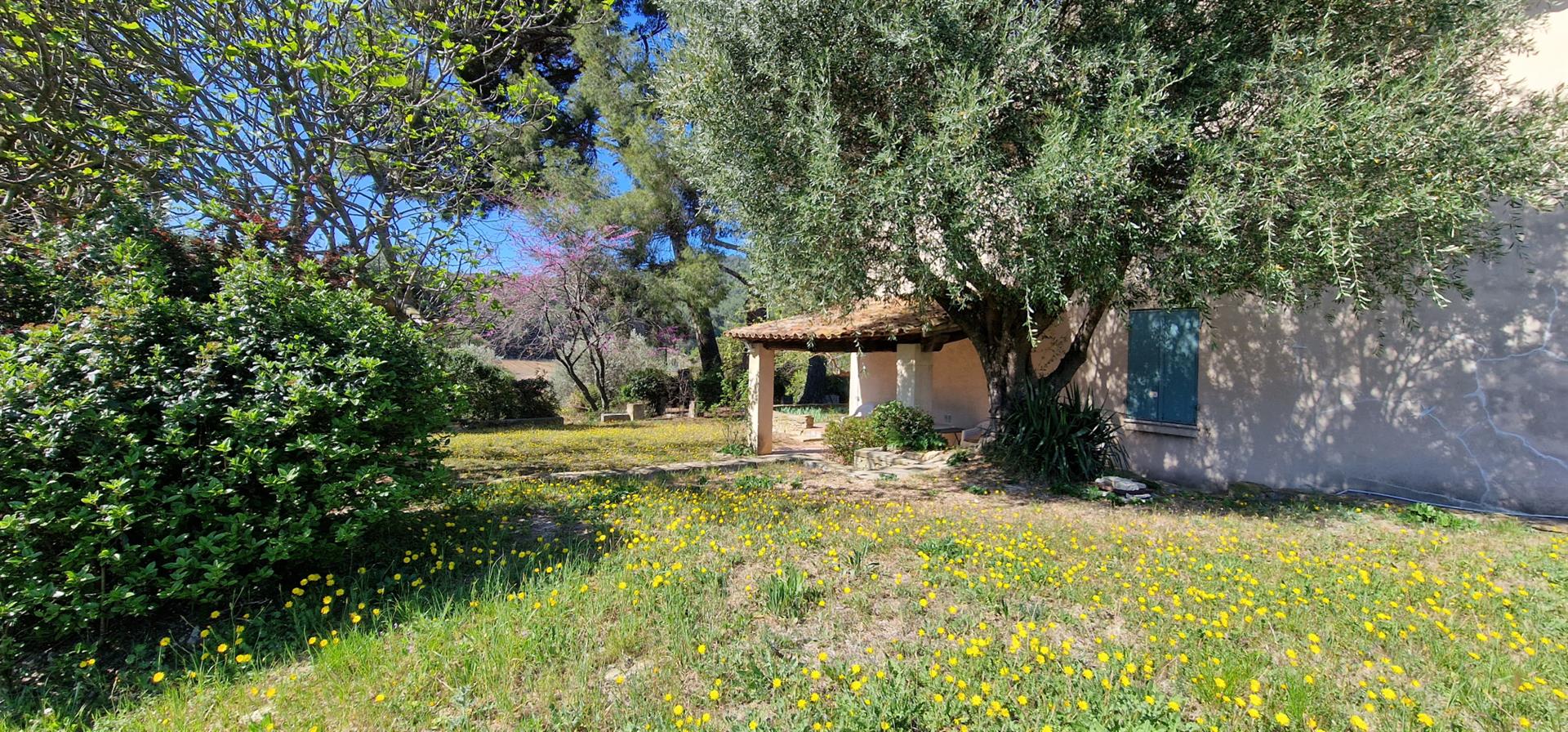 Old 6-Room House On 2300 M2