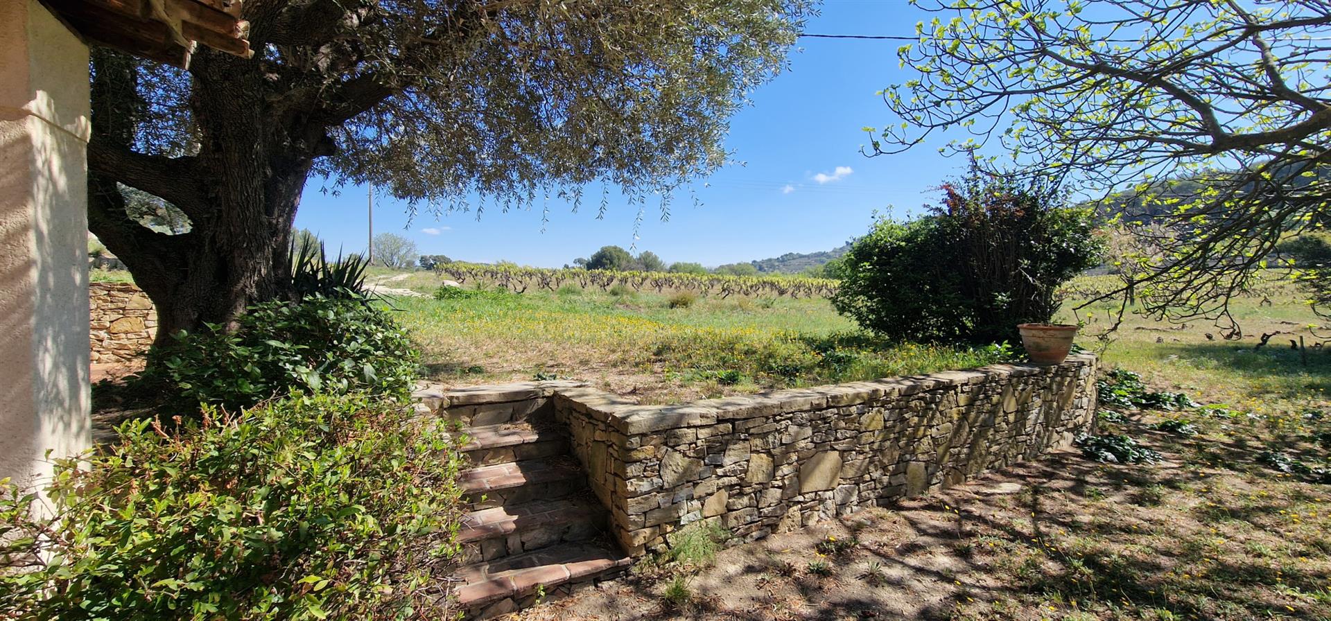 Old 6-Room House On 2300 M2