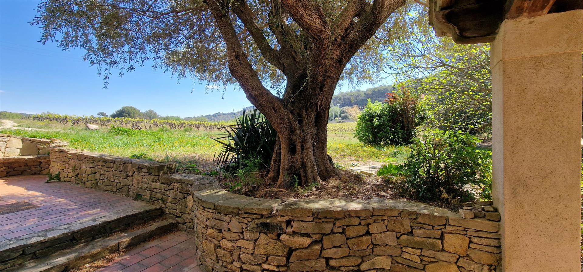 Old 6-Room House On 2300 M2