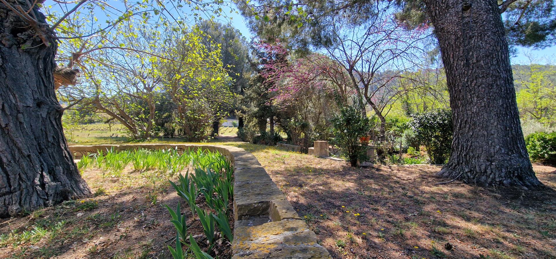 Old 6-Room House On 2300 M2