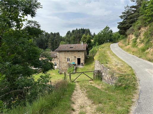 Desaignes area, Beautiful stone property with 3 dwellings and about 20 ha of land.