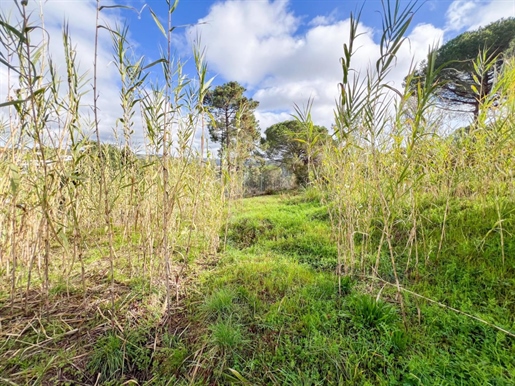 Land in the Jaruco County in Lloret de Mar