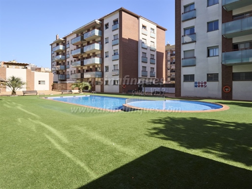 Purchase: Apartmá (17310)