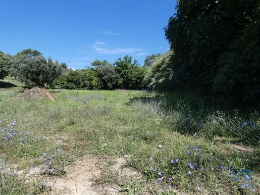 Construction land in Tomar (São João Baptista) e Santa Maria dos Olivais with 9545,00 m²