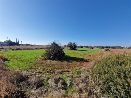 9142Sq.M Be1 Land in Ypsonas