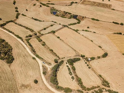 Terrains à vendre à Pissouri, Limassol, Chypre
