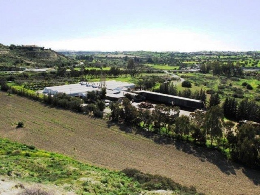 Commerce et terrains à vendre à Kalavasos, Larnaca, Chypre