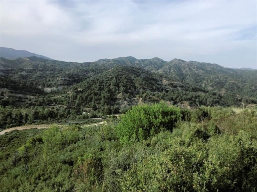 Unique Land for sale in Agios Mamas, Limassol