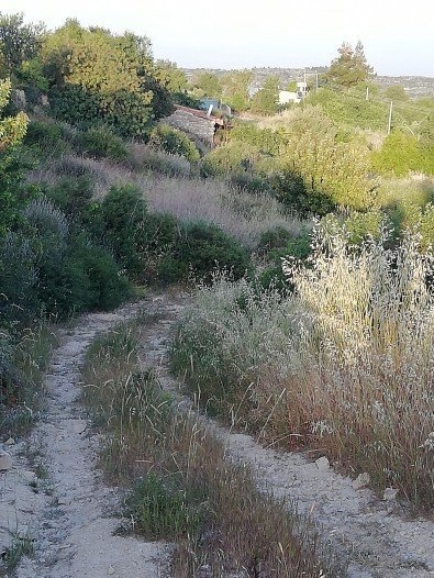 Land For Sale In Vouni Limassol Cyprus