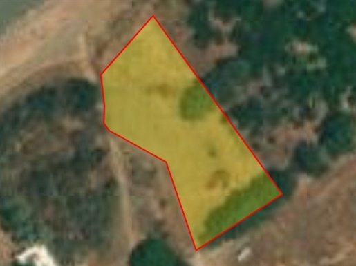 Land, For Sale, Nicosia, Pachyammos