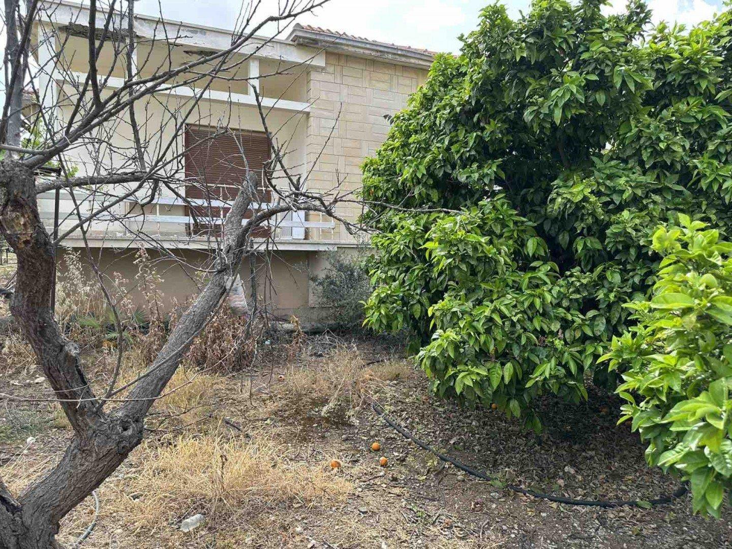 Plot For Sale In Agios Theodoros Paphos Cyprus