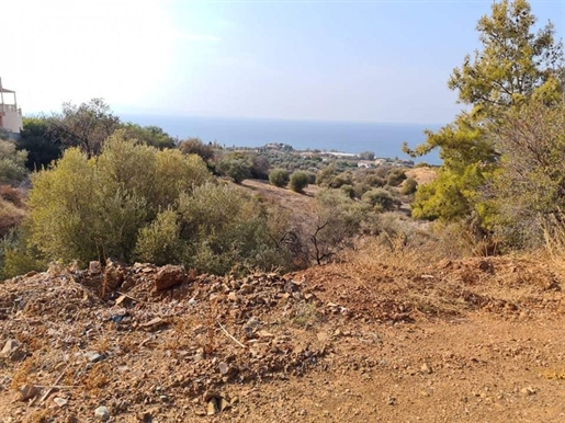 Terrains à vendre à Nea Dimmata Paphos Chypre
